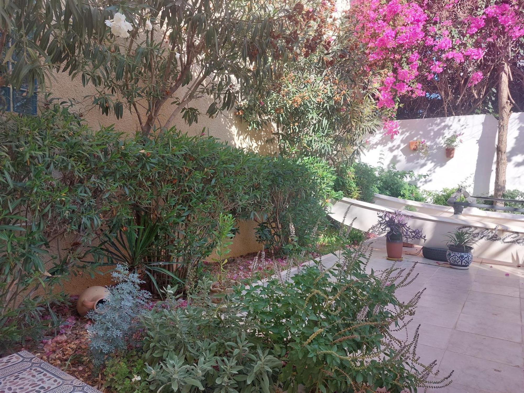 Villa Azaiiza Sousse Ngoại thất bức ảnh