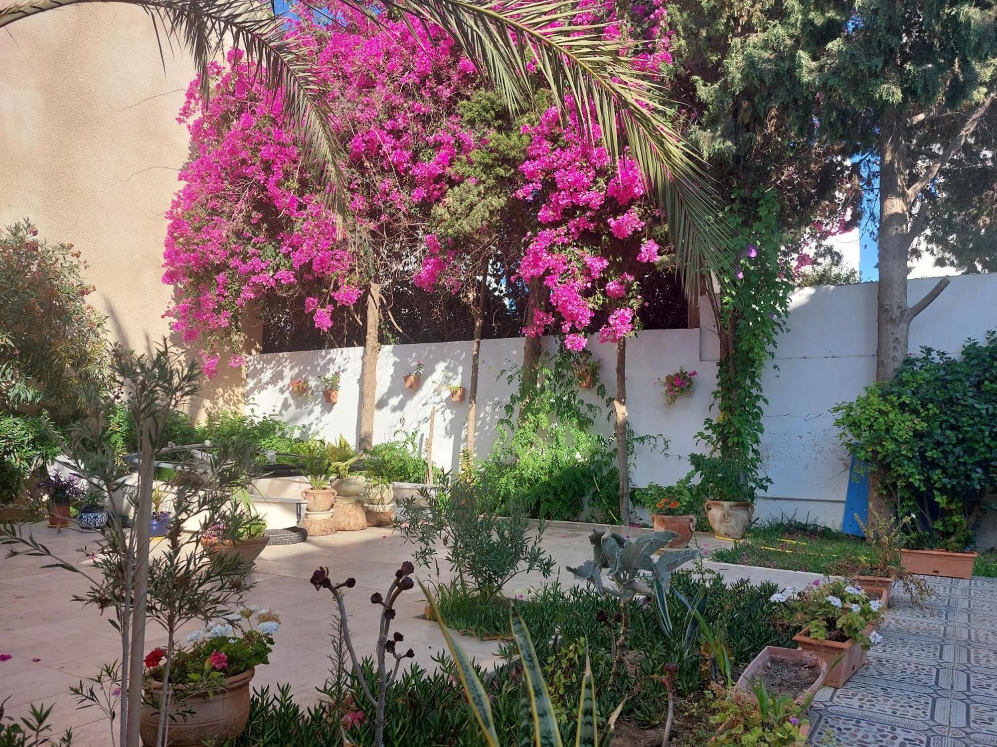 Villa Azaiiza Sousse Ngoại thất bức ảnh