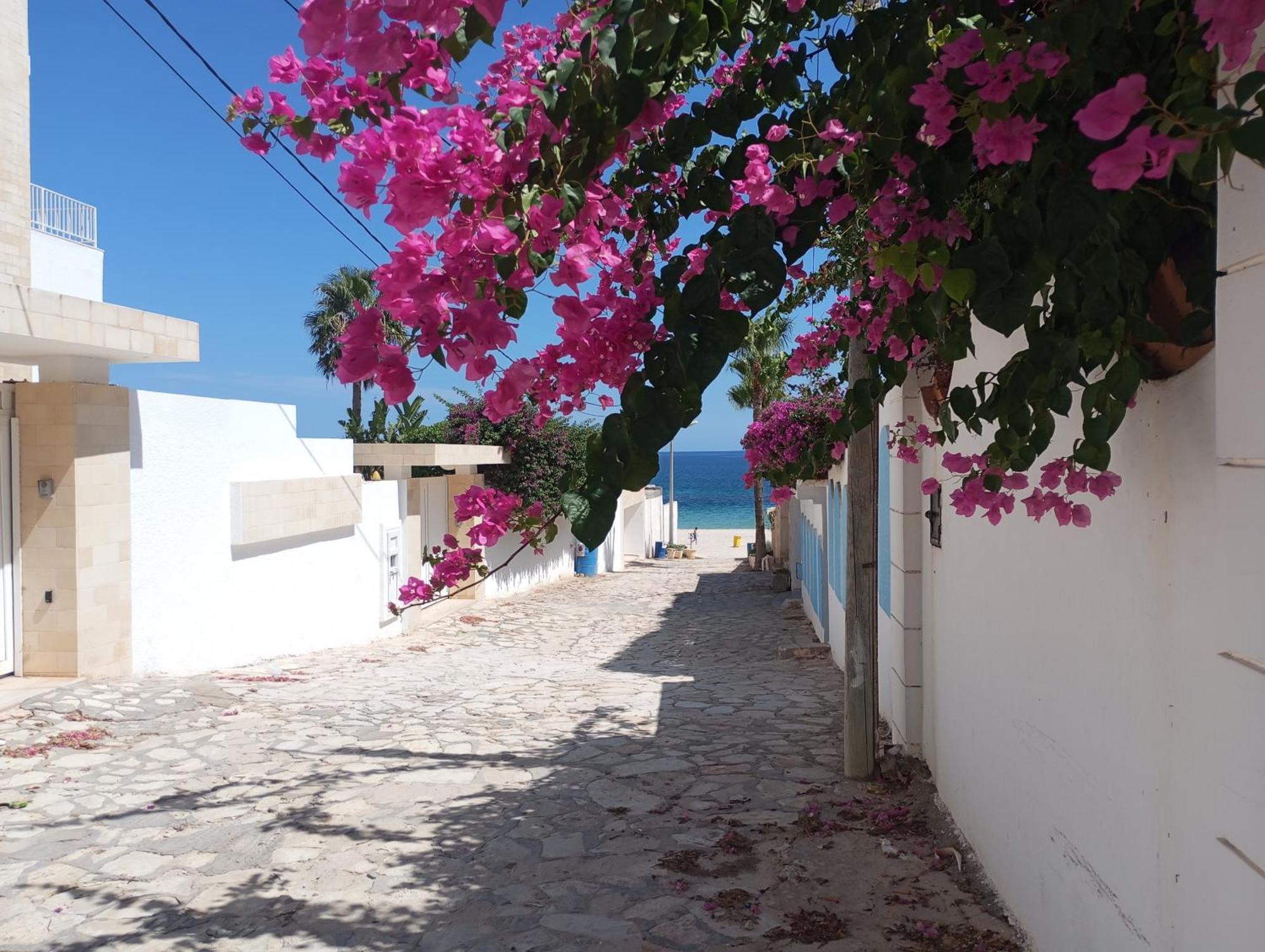 Villa Azaiiza Sousse Ngoại thất bức ảnh